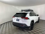 2019 Toyota RAV4 XLE AWD (Natl)