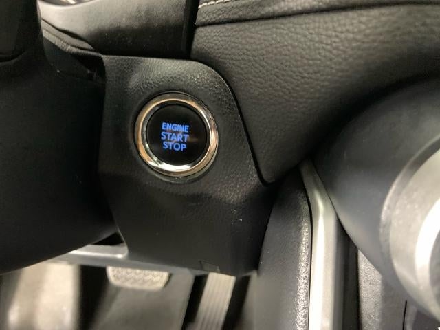 2019 Toyota RAV4 XLE AWD (Natl)