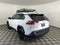 2019 Toyota RAV4 XLE AWD (Natl)