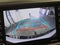 2021 Toyota Tacoma 4WD SR5 Double Cab 5' Bed V6 AT (GS)